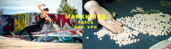 индика Баксан