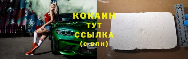 индика Баксан