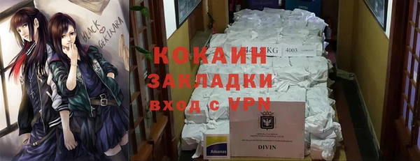 индика Баксан